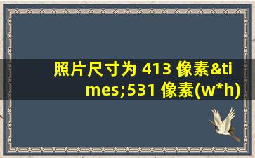 照片尺寸为 413 像素×531 像素(w*h)